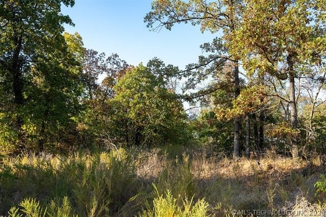 26353 E 300 Road Big Cabin OK 74332