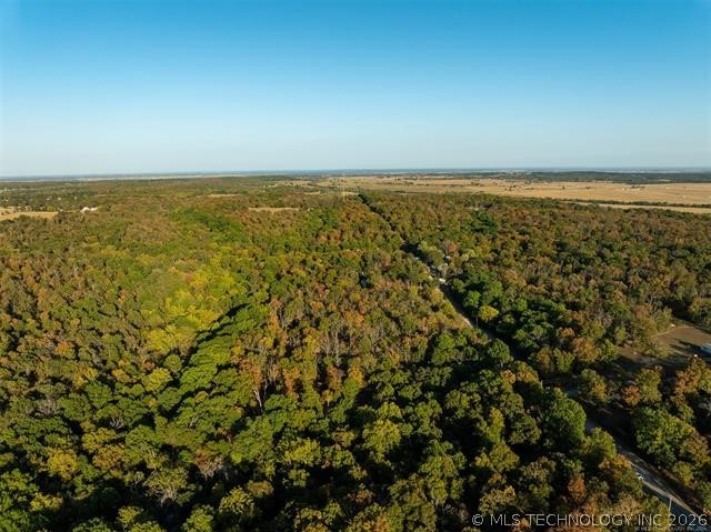 26353 E 300 Road Big Cabin OK 74332