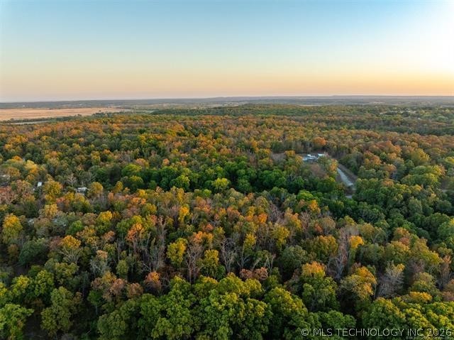 26353 E 300 Road Big Cabin OK 74332