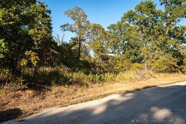 26353 E 300 Road Big Cabin OK 74332