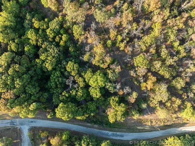 26353 E 300 Road Big Cabin OK 74332