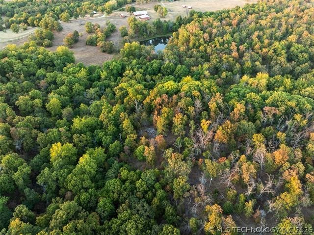 26353 E 300 Road Big Cabin OK 74332