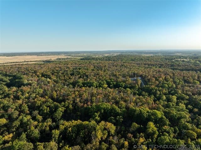 26353 E 300 Road Big Cabin OK 74332