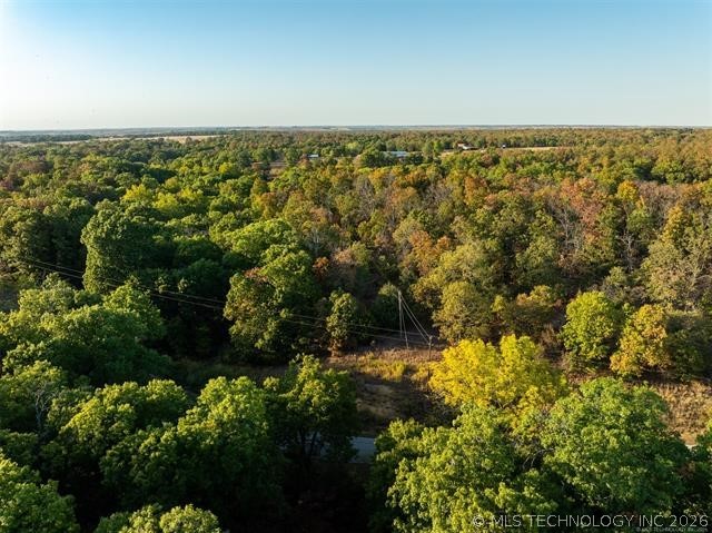26353 E 300 Road Big Cabin OK 74332