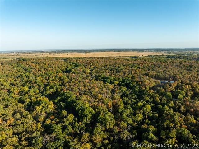 26353 E 300 Road Big Cabin OK 74332