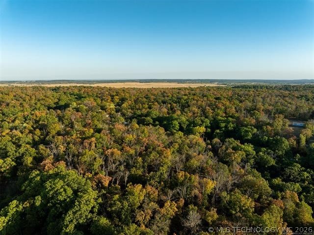 26353 E 300 Road Big Cabin OK 74332