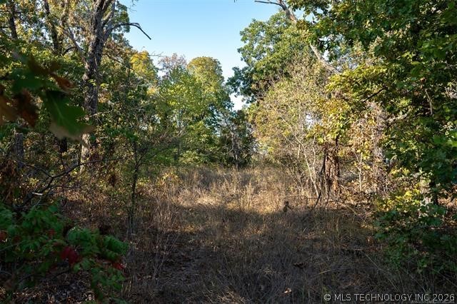 26353 E 300 Road Big Cabin OK 74332