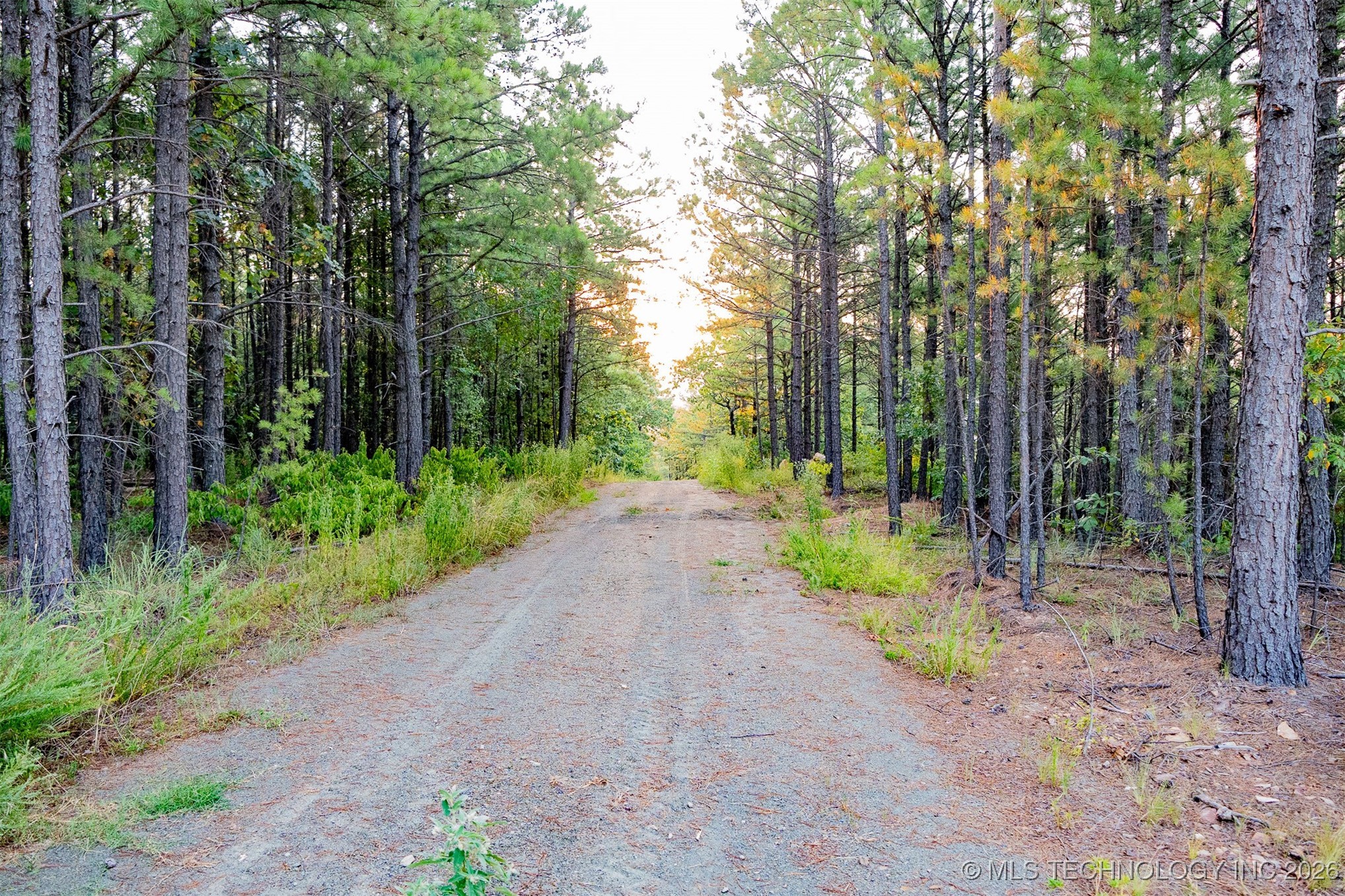 Savage Road Clayton OK 74536
