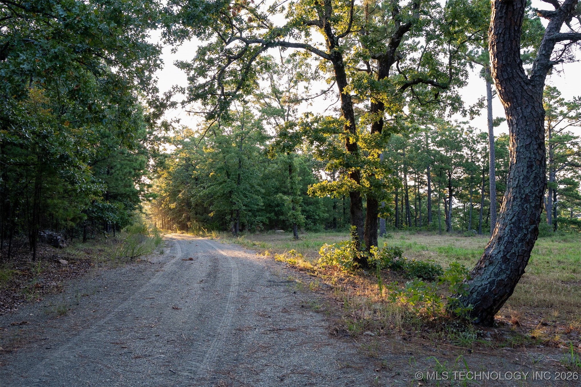 Savage Road Clayton OK 74536