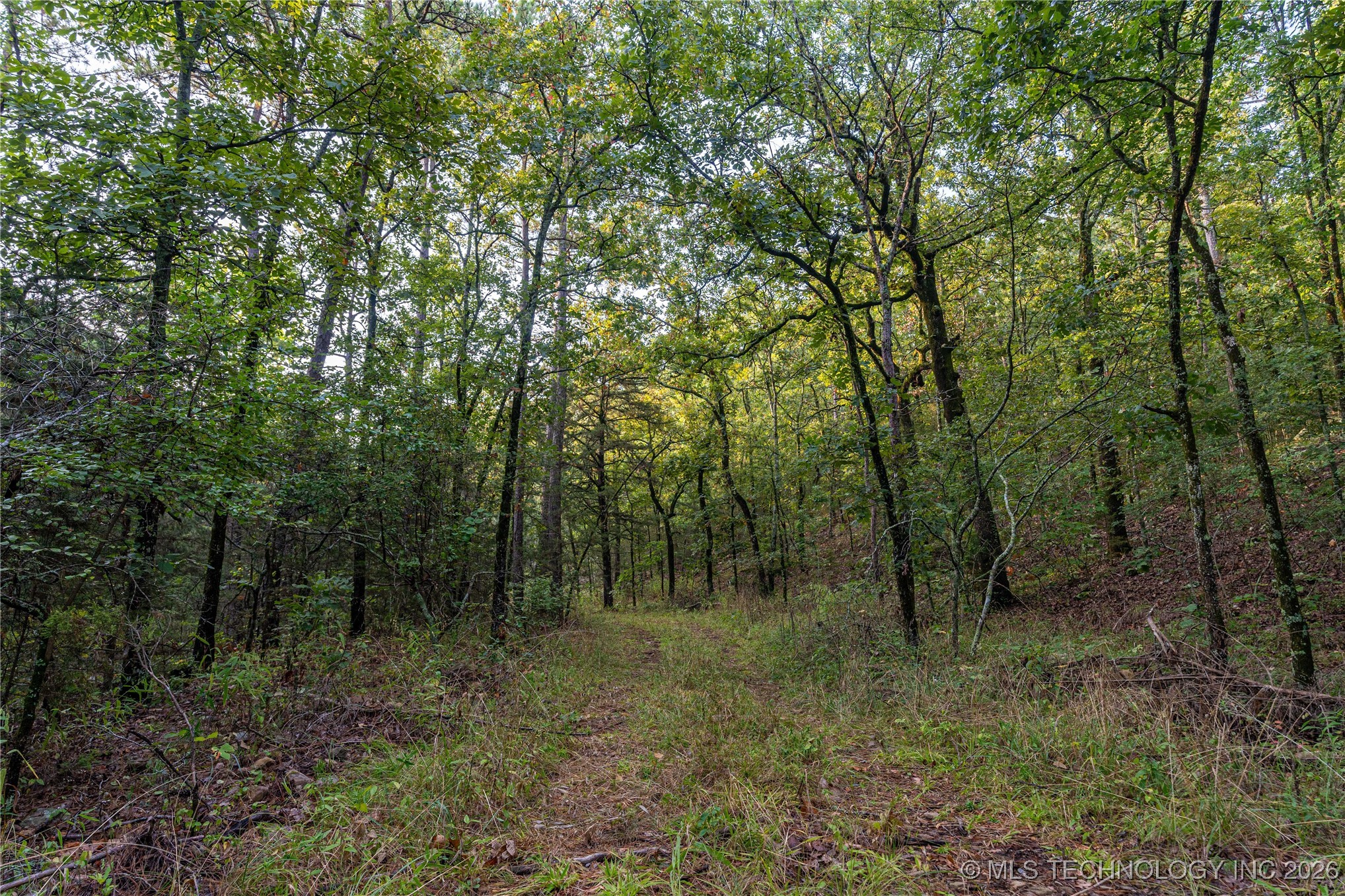 Savage Road Clayton OK 74536