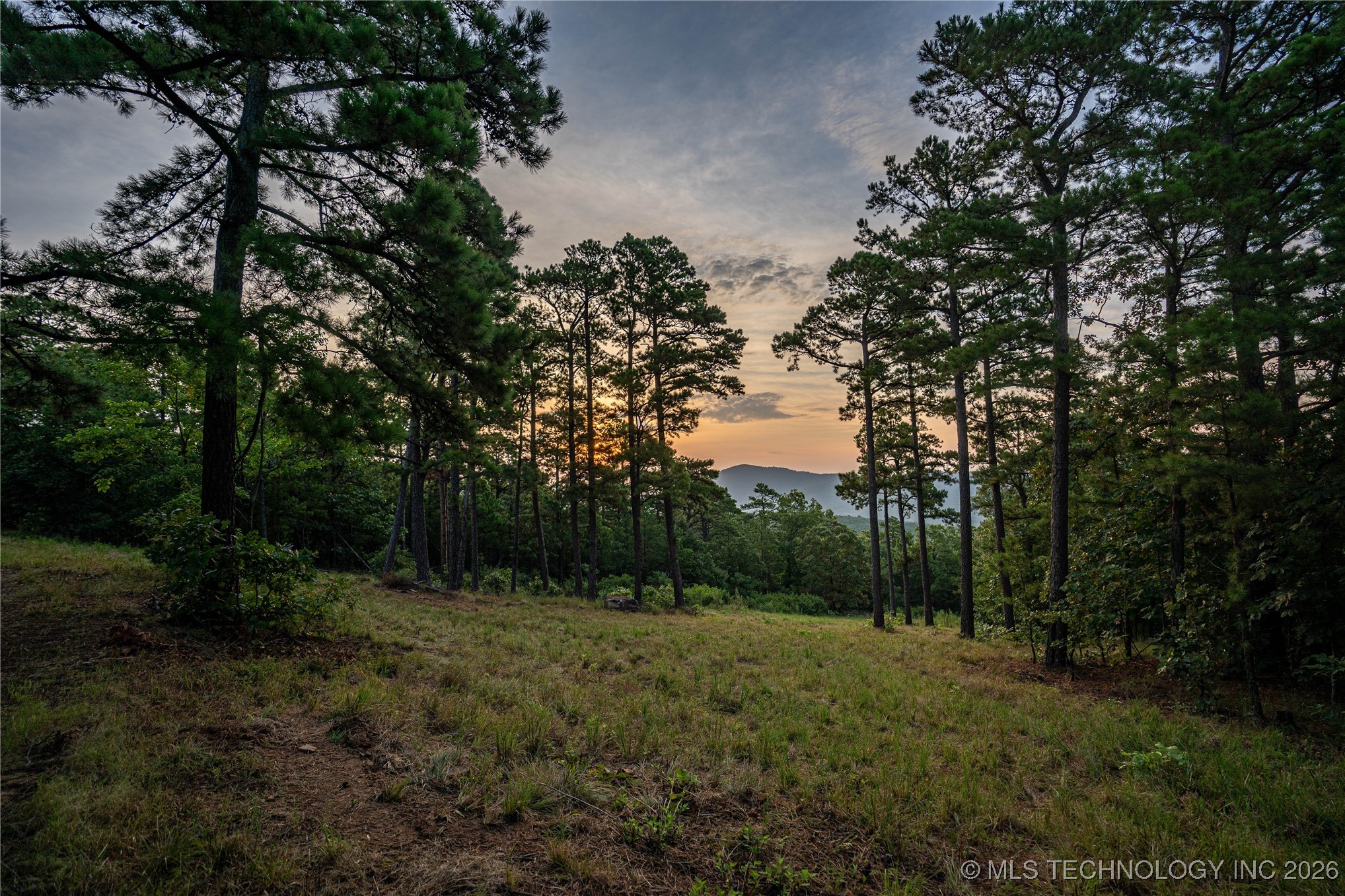 Savage Road Clayton OK 74536
