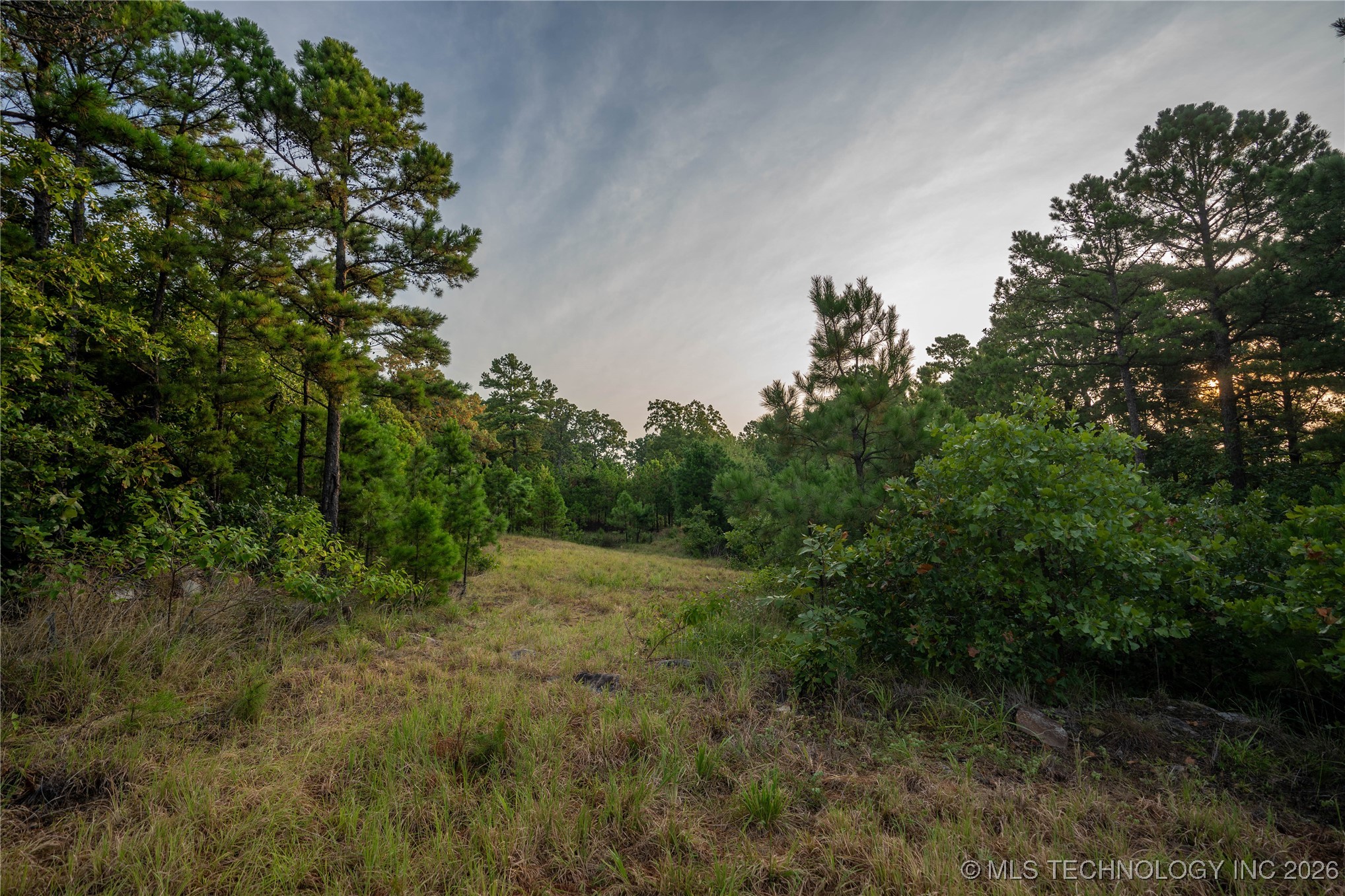 Savage Road Clayton OK 74536