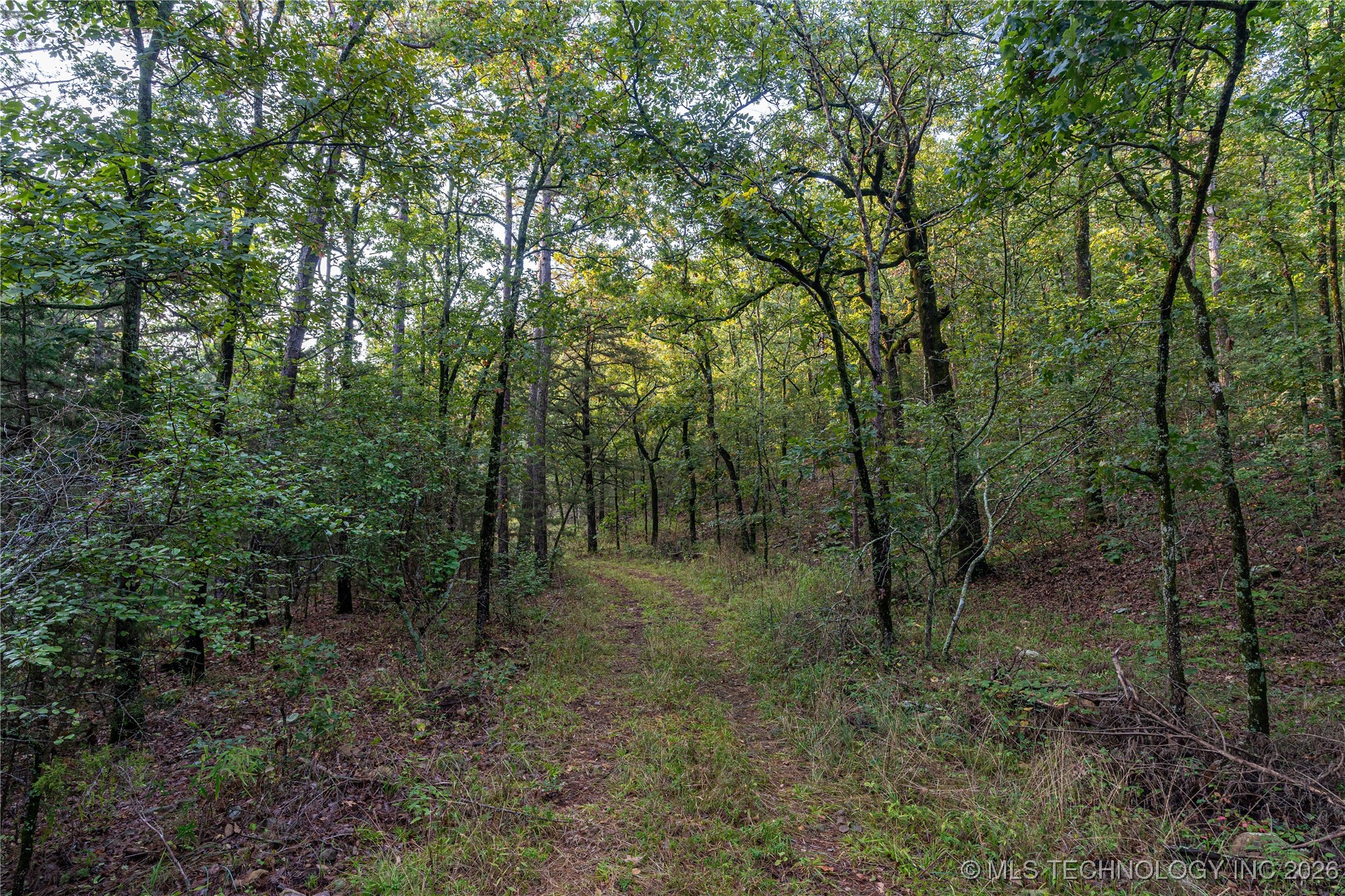 Savage Road Clayton OK 74536