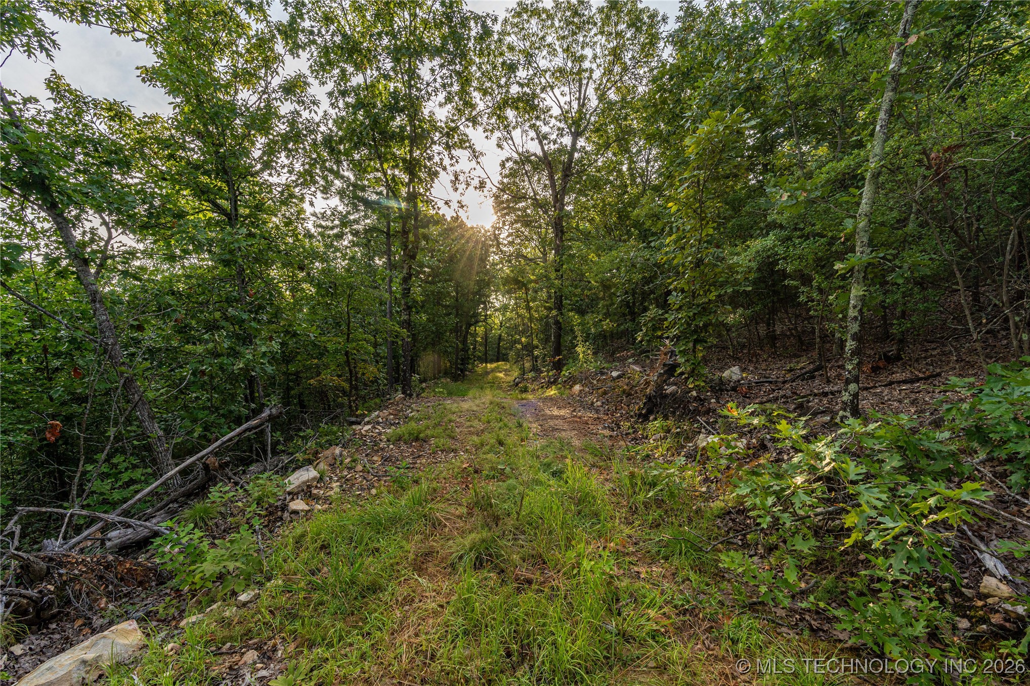 Savage Road Clayton OK 74536
