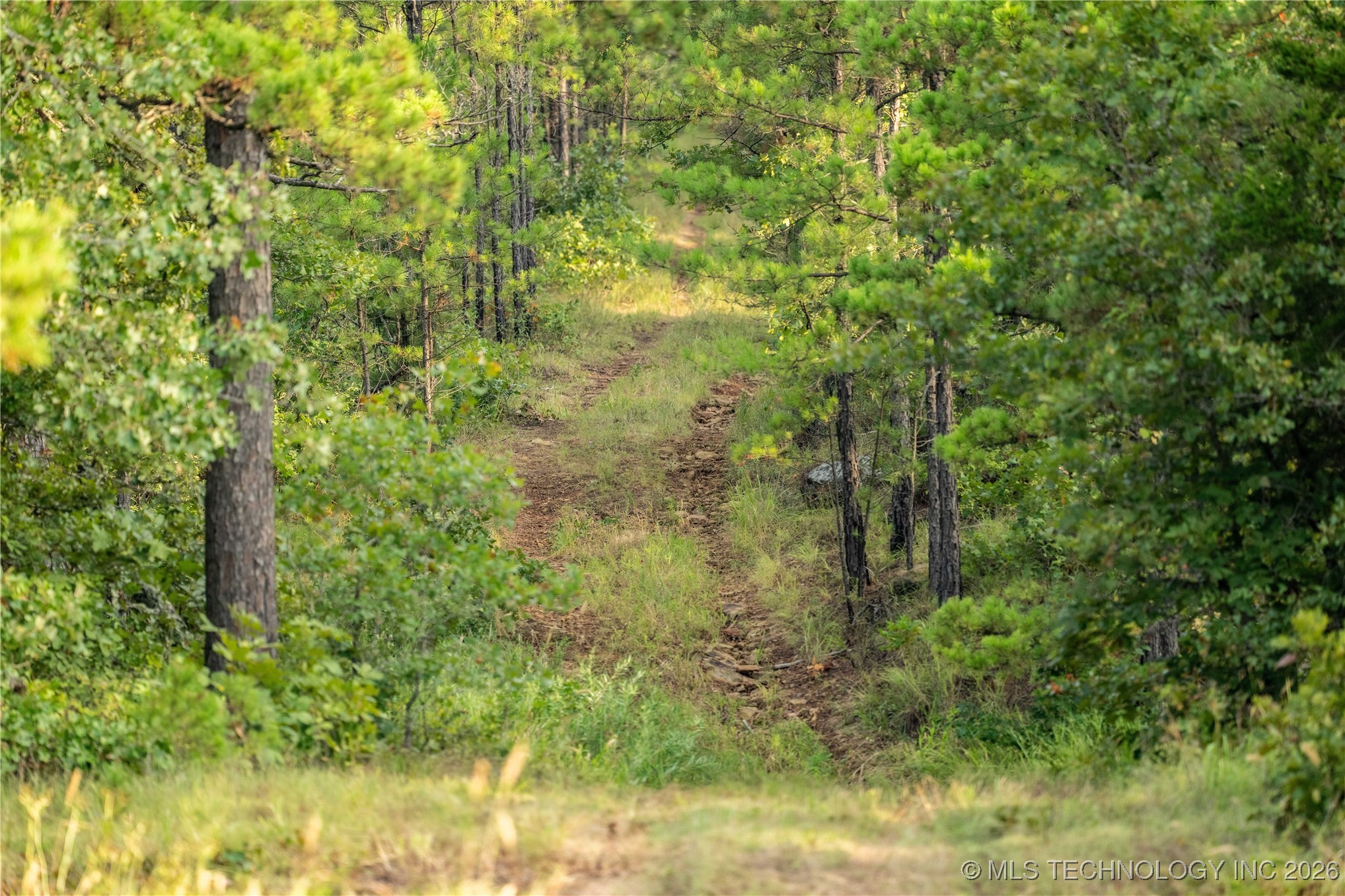 Savage Road Clayton OK 74536
