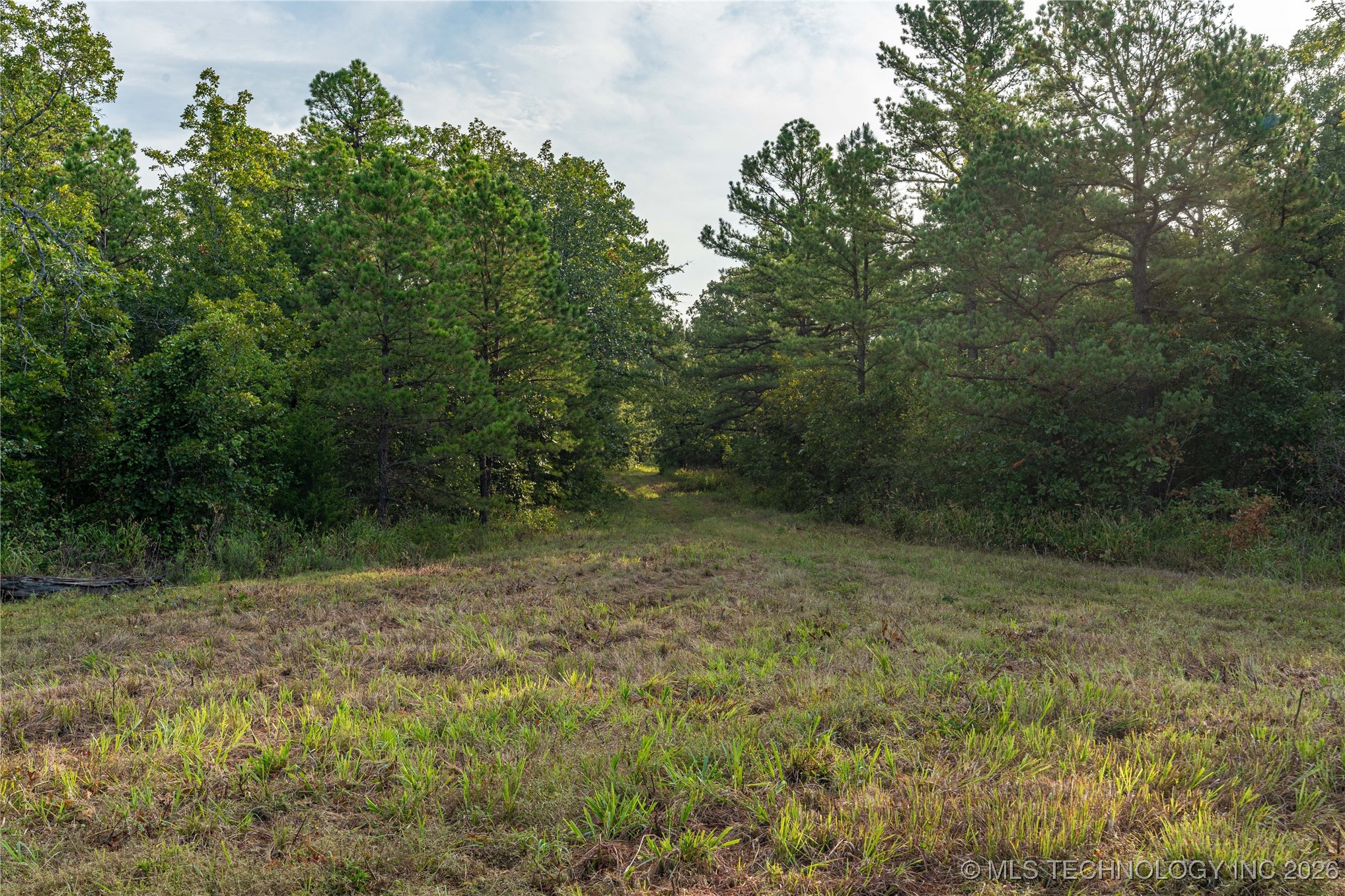 Savage Road Clayton OK 74536