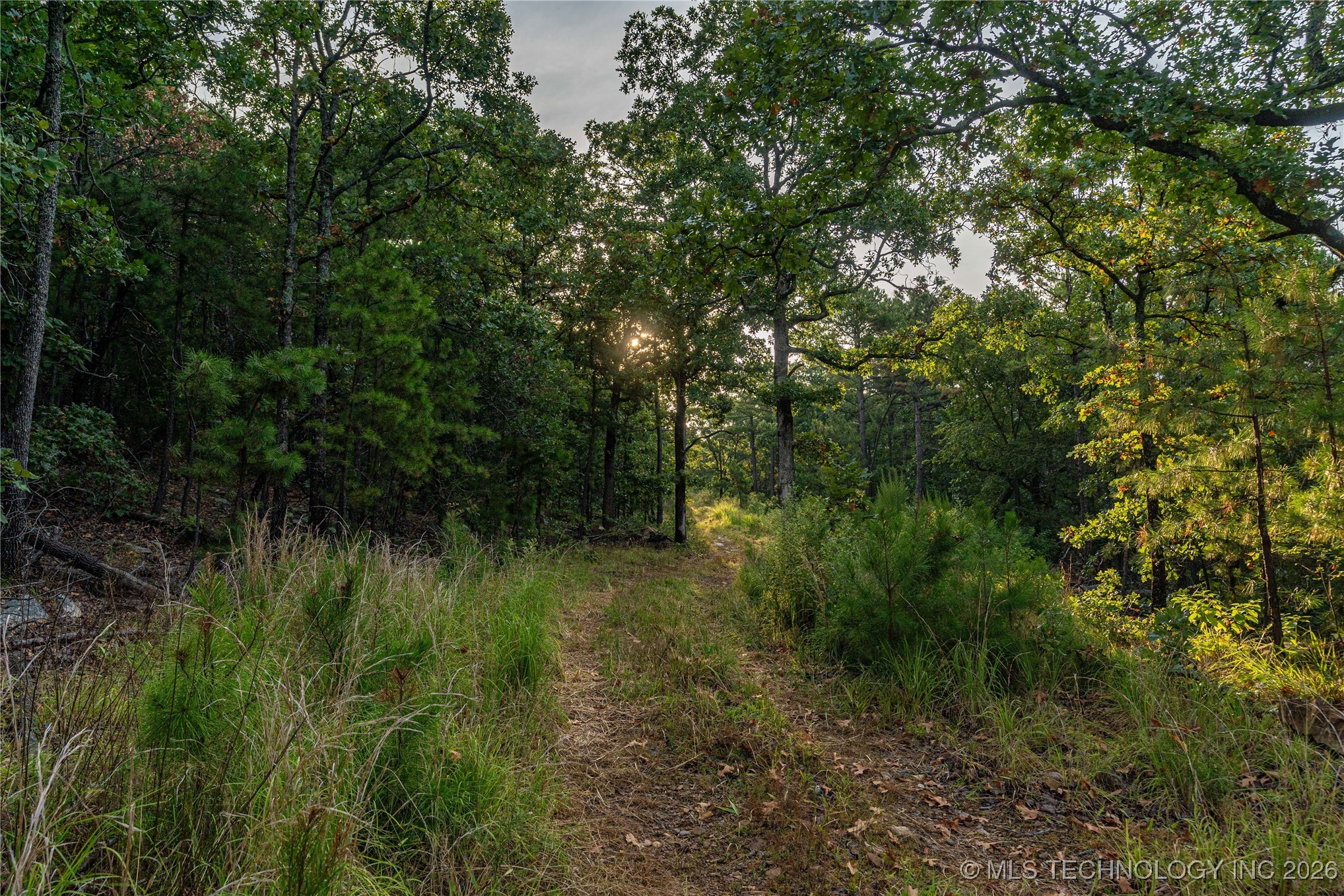 Savage Road Clayton OK 74536