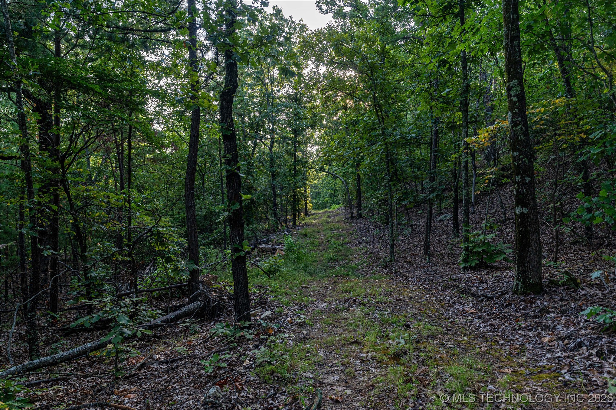 Savage Road Clayton OK 74536
