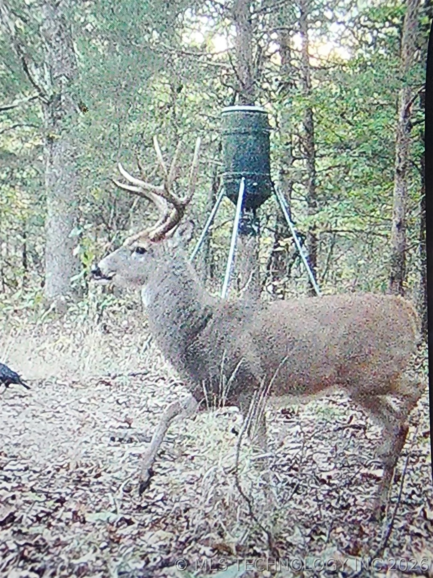 3475 Highway 75 Holdenville OK 74848