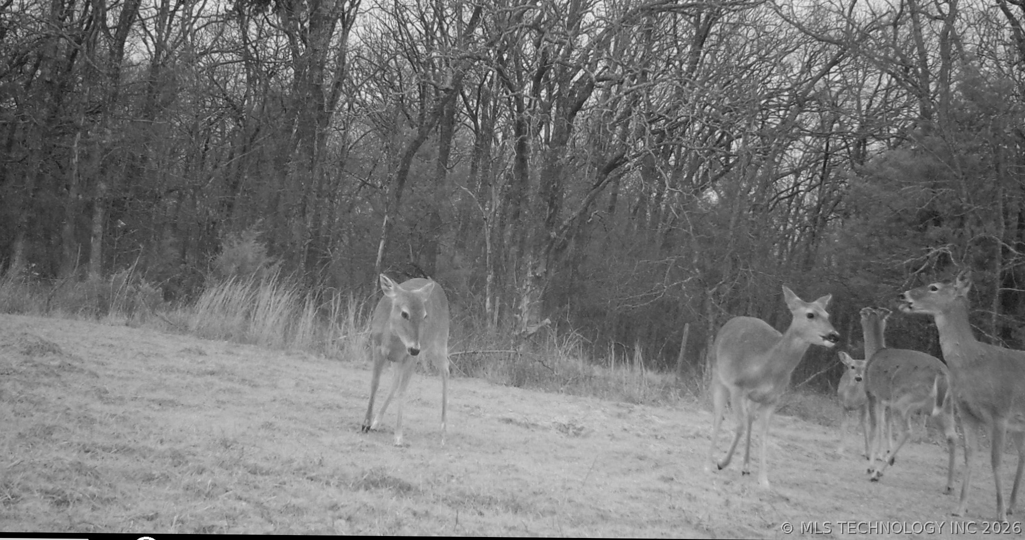 3475 Highway 75 Holdenville OK 74848