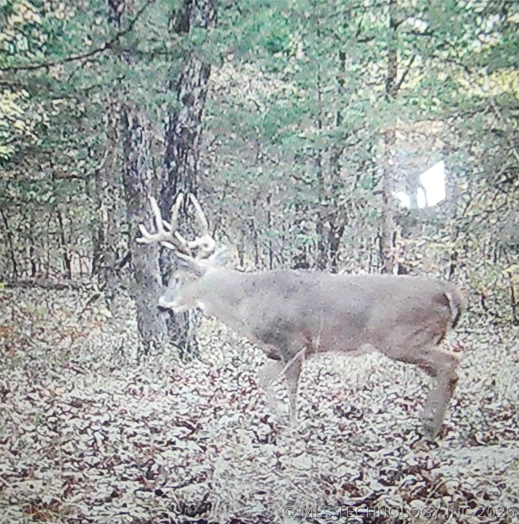 3475 Highway 75 Holdenville OK 74848