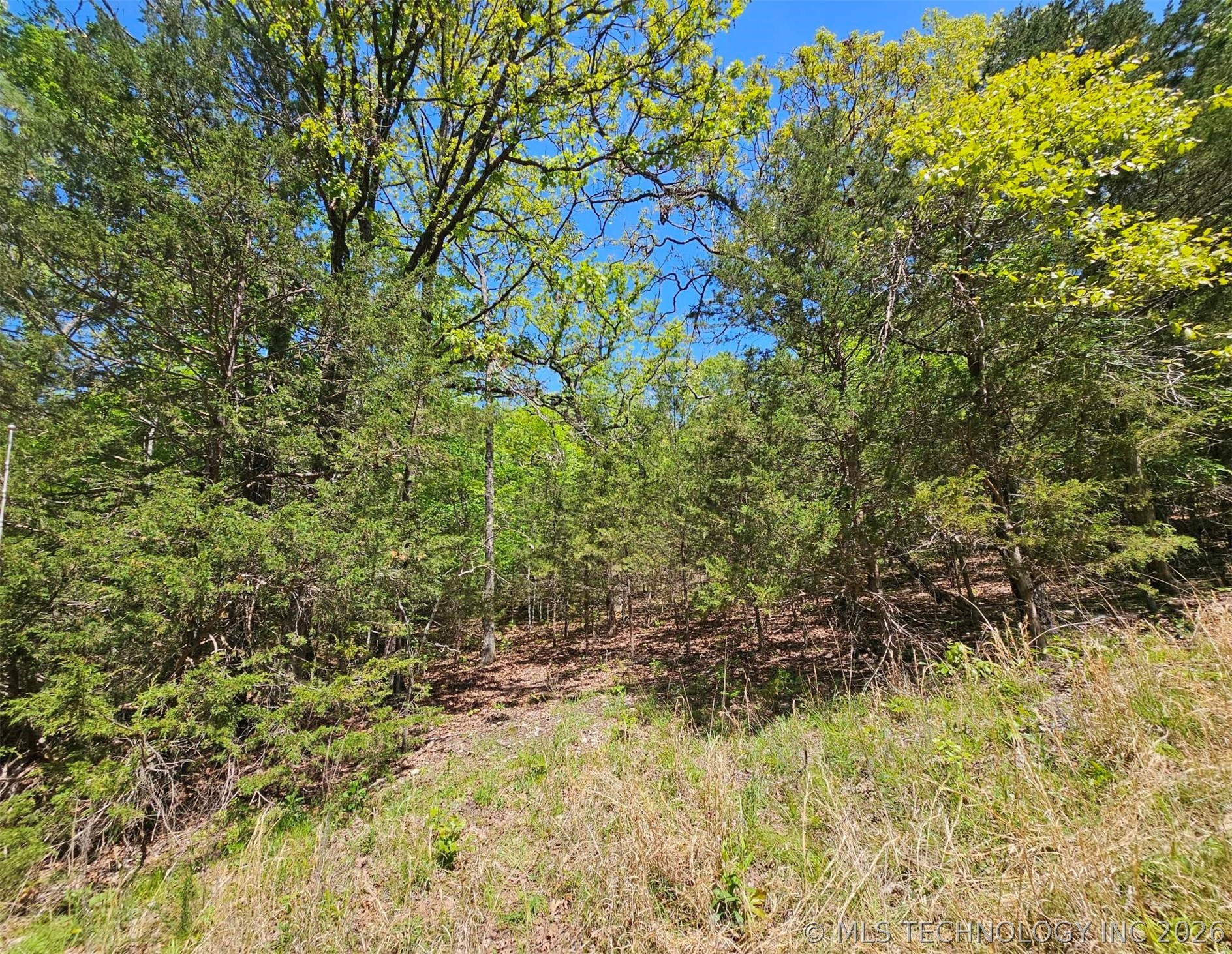 000 N 566 Road Proctor OK 74457