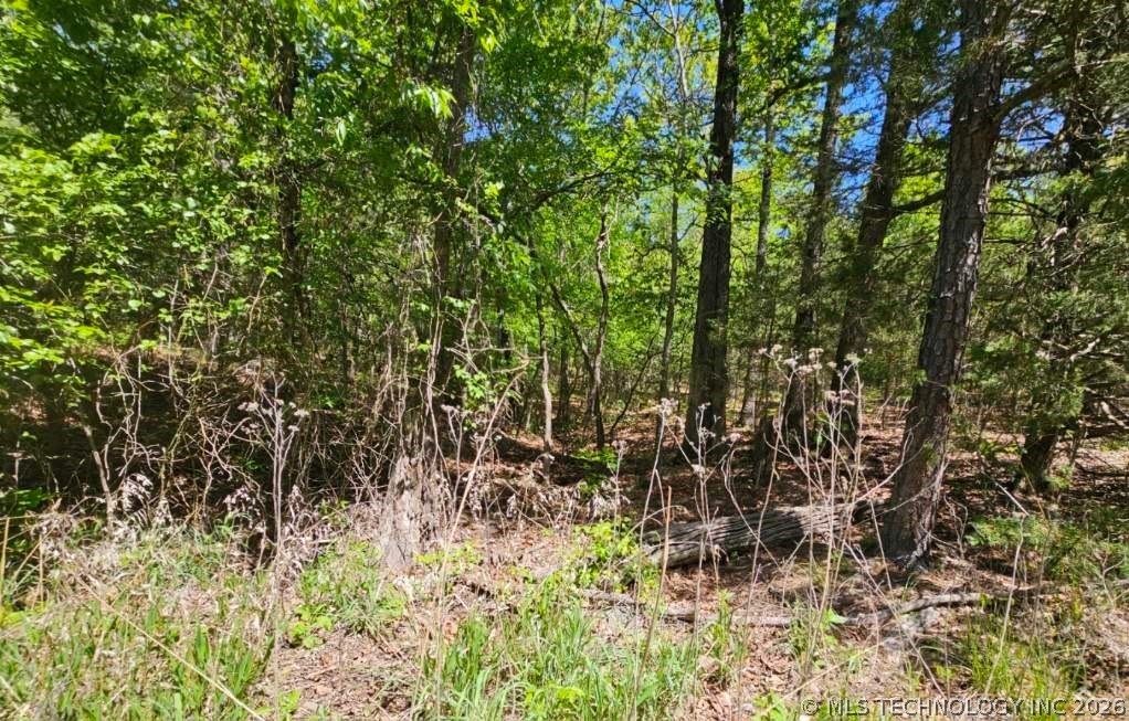 000 N 566 Road Proctor OK 74457