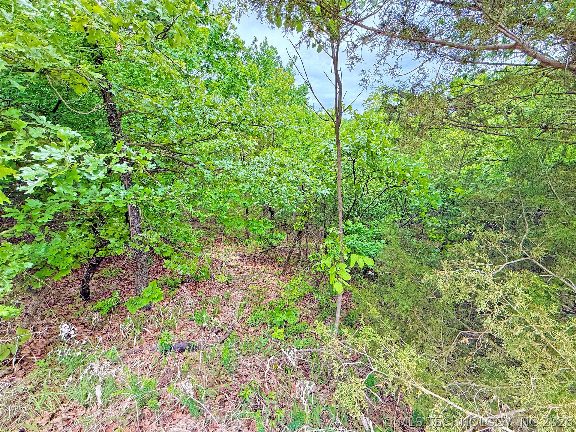 29 Lakeside Drive Eufaula OK 74432