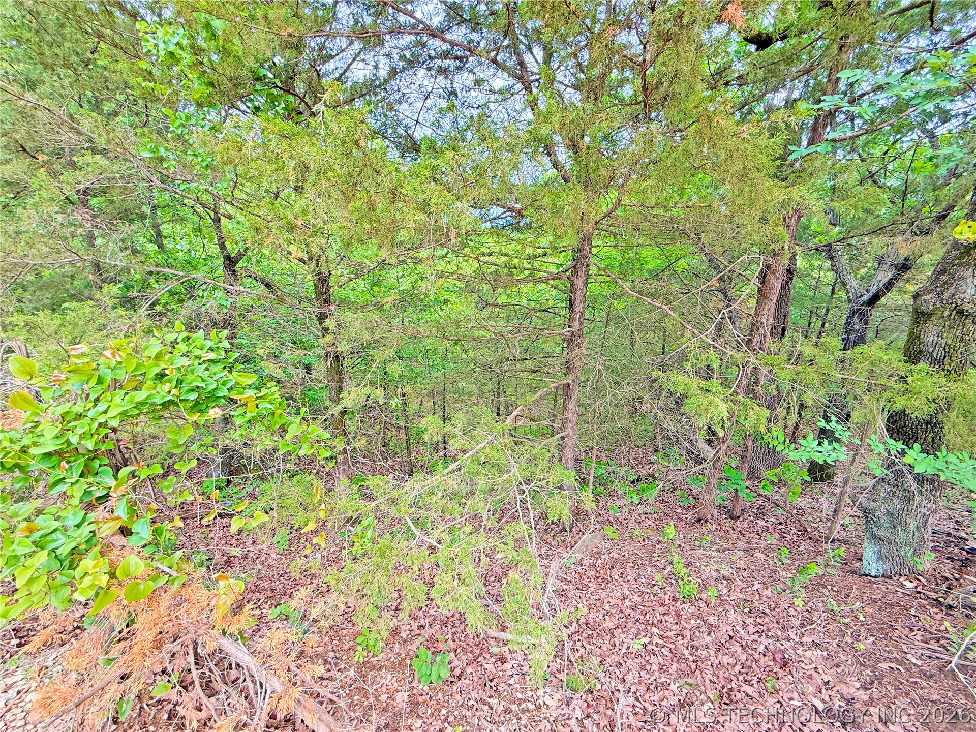 29 Lakeside Drive Eufaula OK 74432
