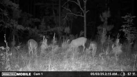 1 Hulsey Prairie Panola OK 74559