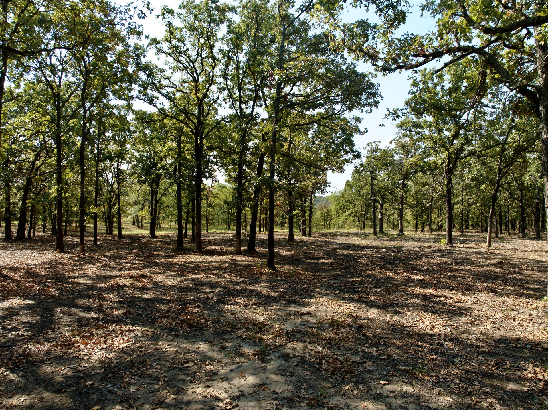 19 260th Street Beggs OK 74421