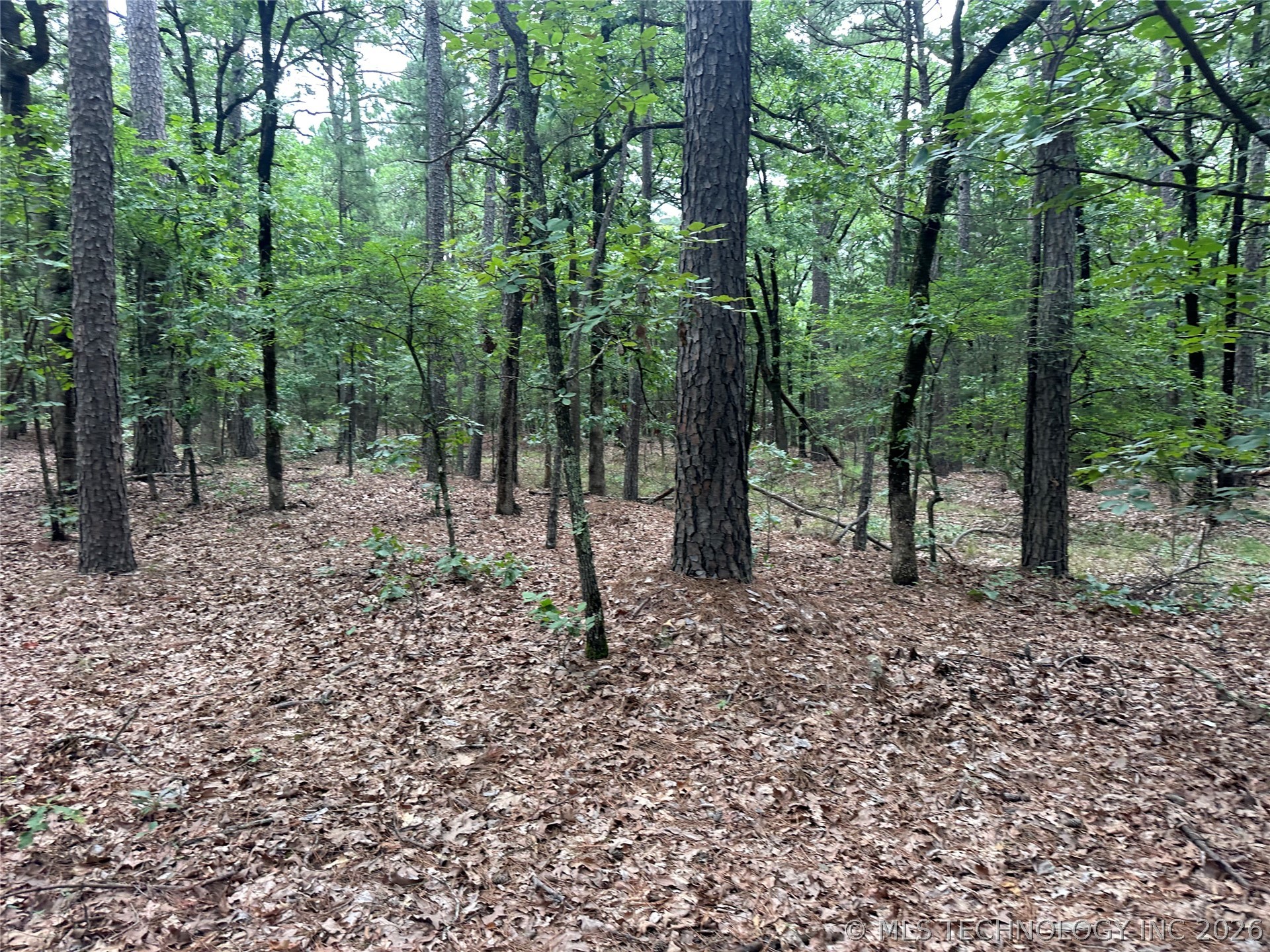 001 Johns Valley Road Moyers OK 74557