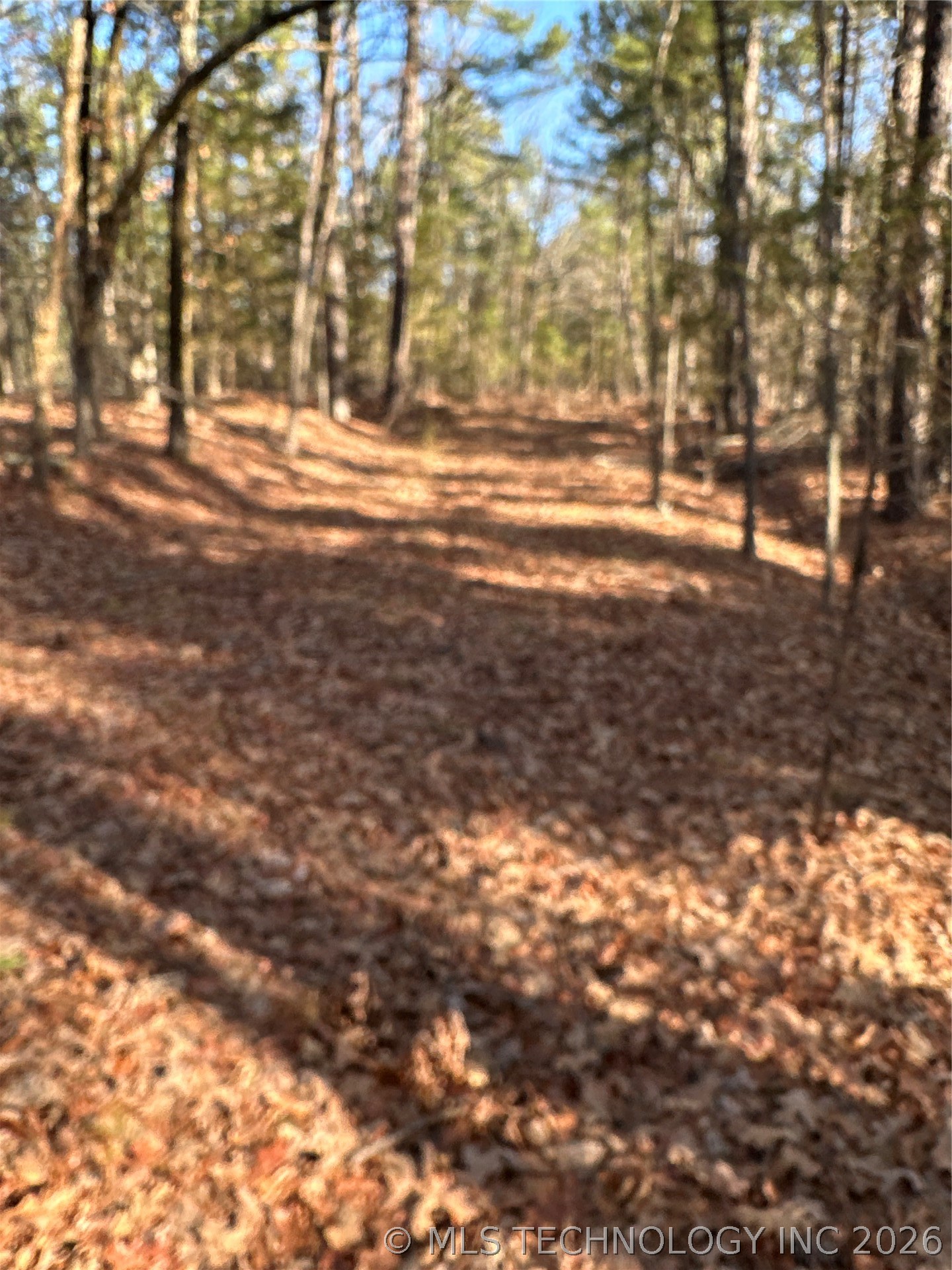 001 Johns Valley Road Moyers OK 74557