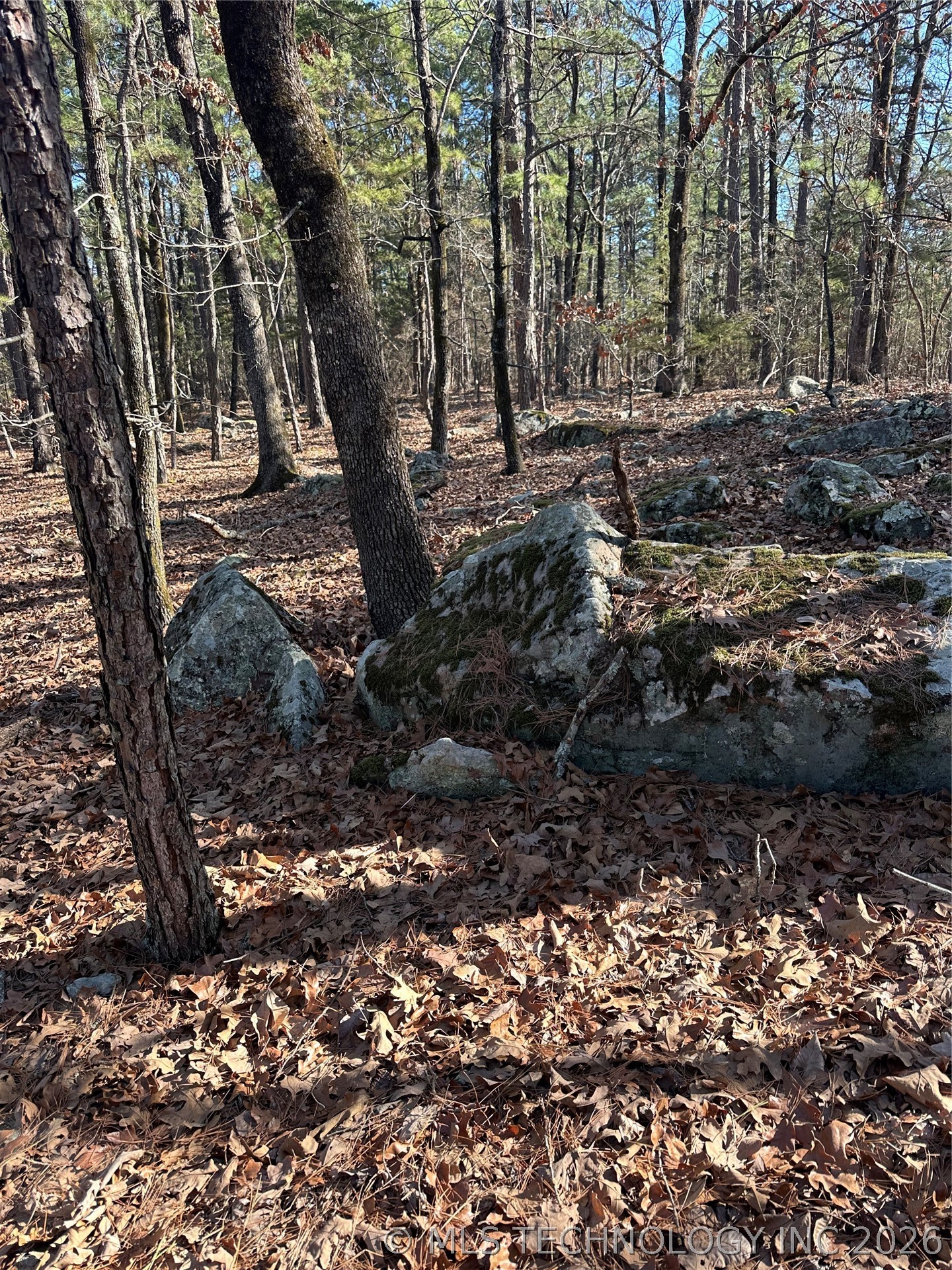001 Johns Valley Road Moyers OK 74557