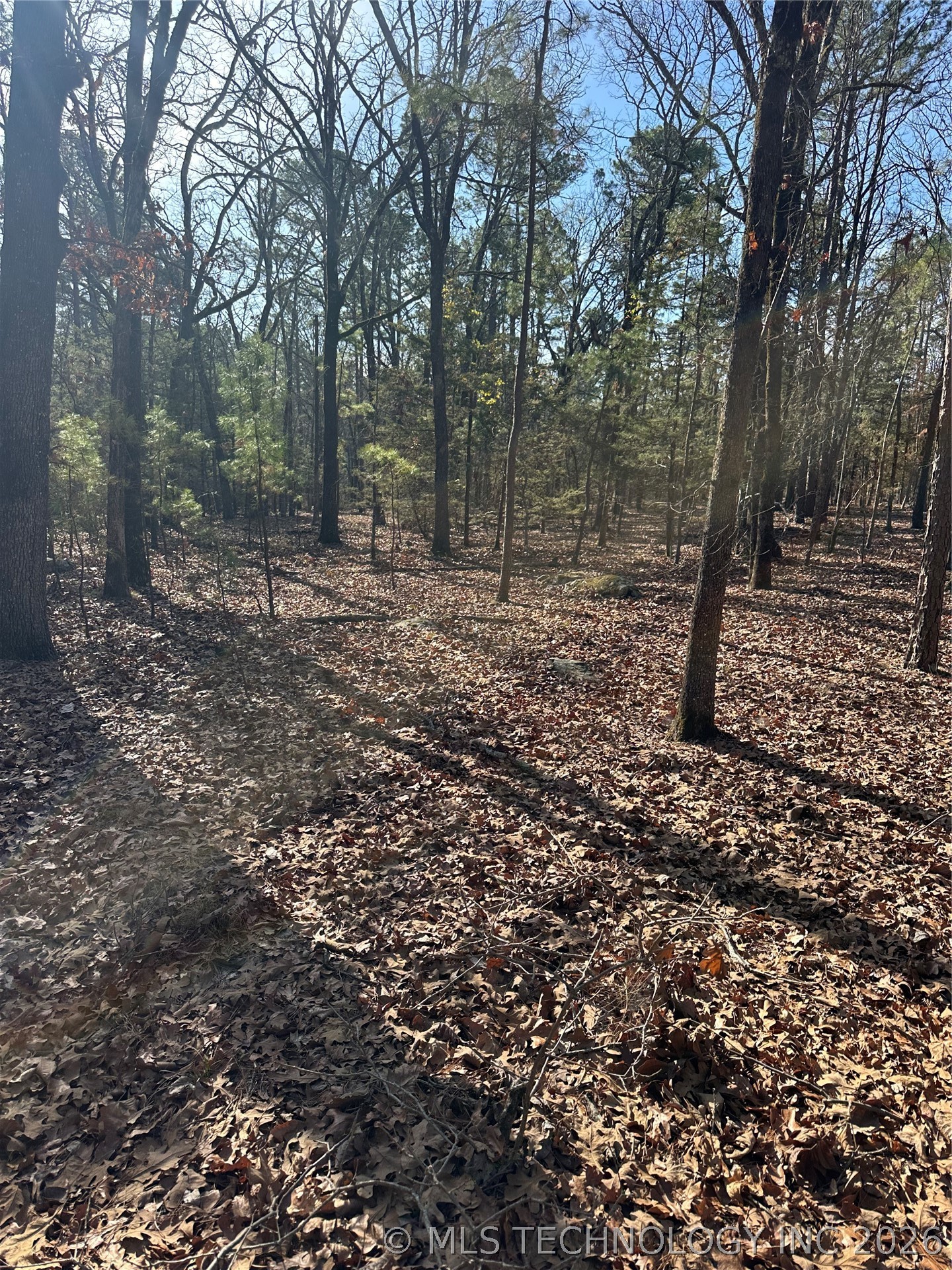 001 Johns Valley Road Moyers OK 74557