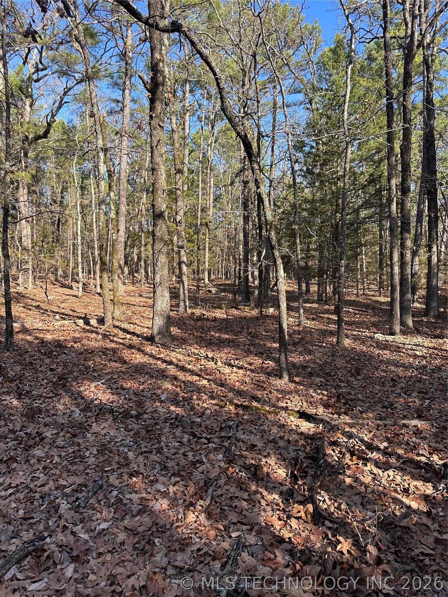 001 Johns Valley Road Moyers OK 74557