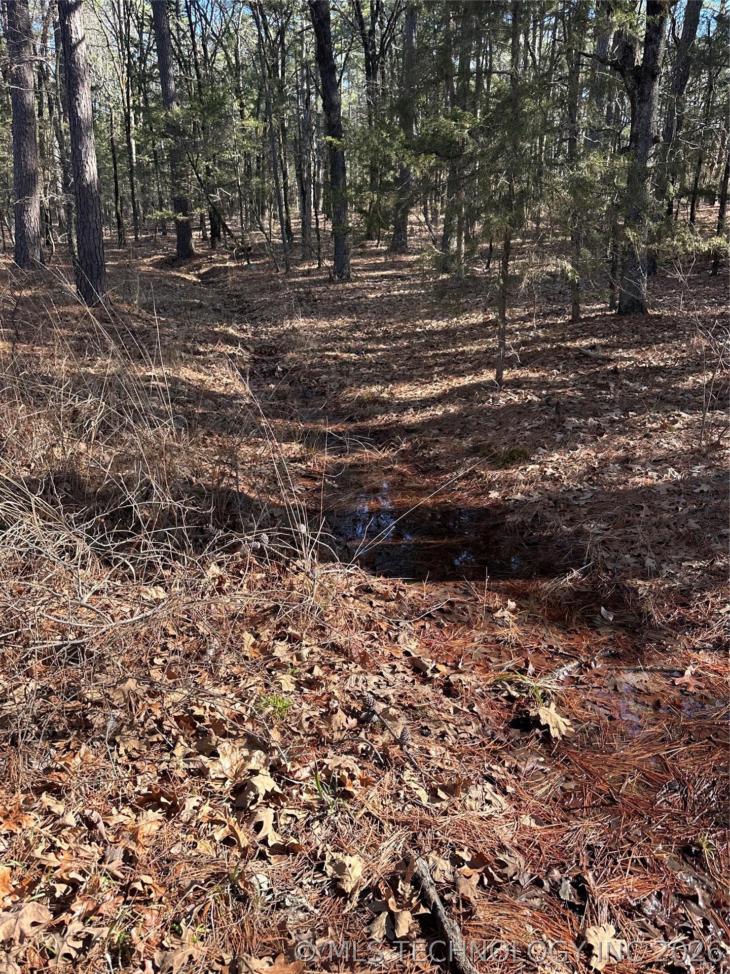 001 Johns Valley Road Moyers OK 74557