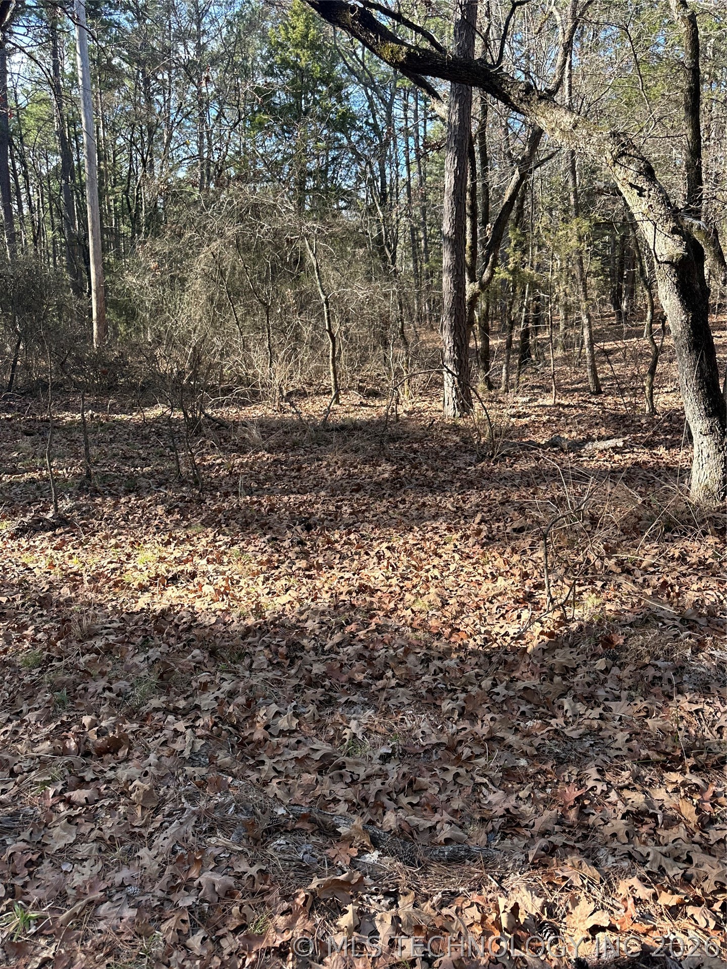 001 Johns Valley Road Moyers OK 74557