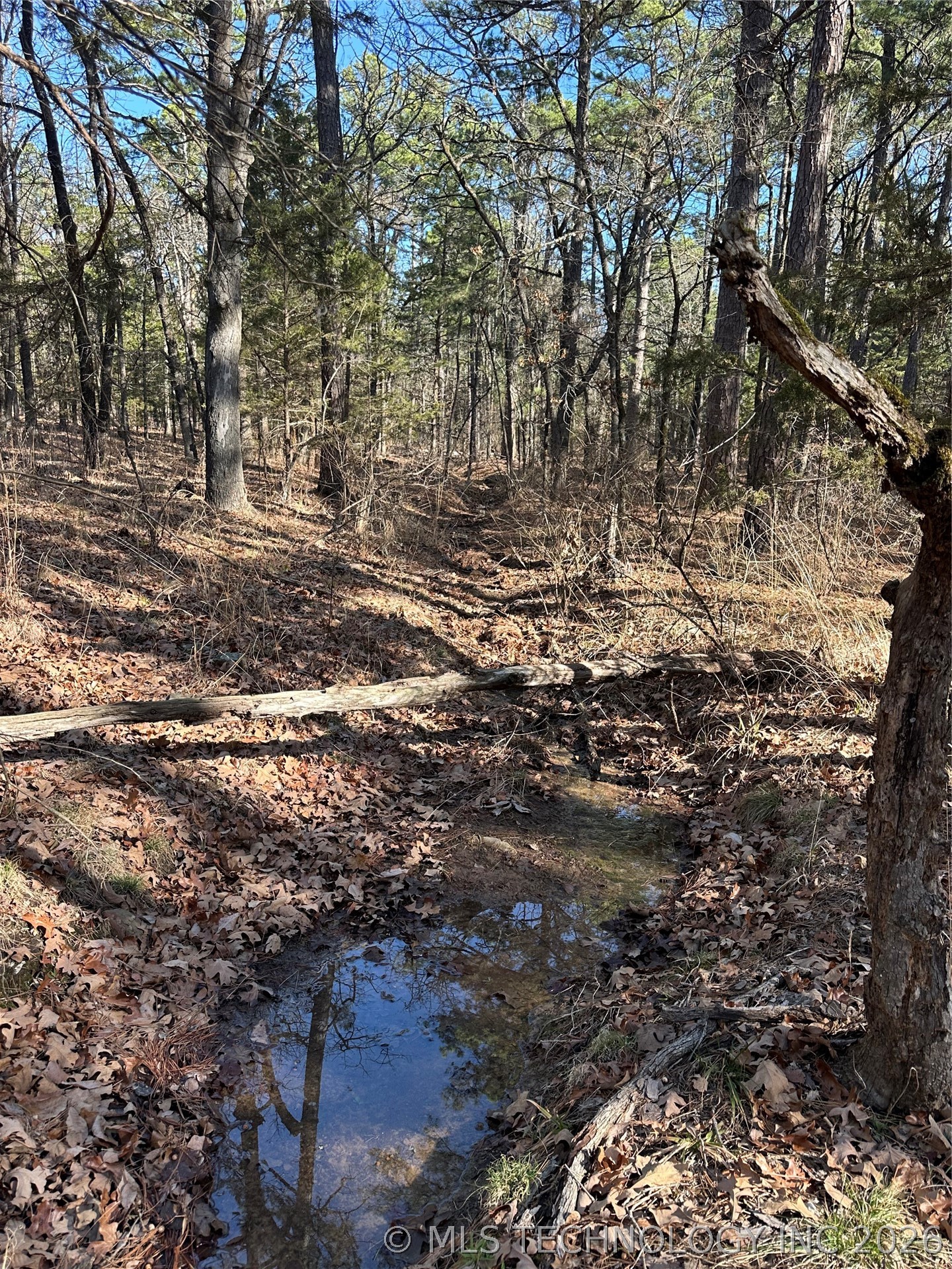001 Johns Valley Road Moyers OK 74557