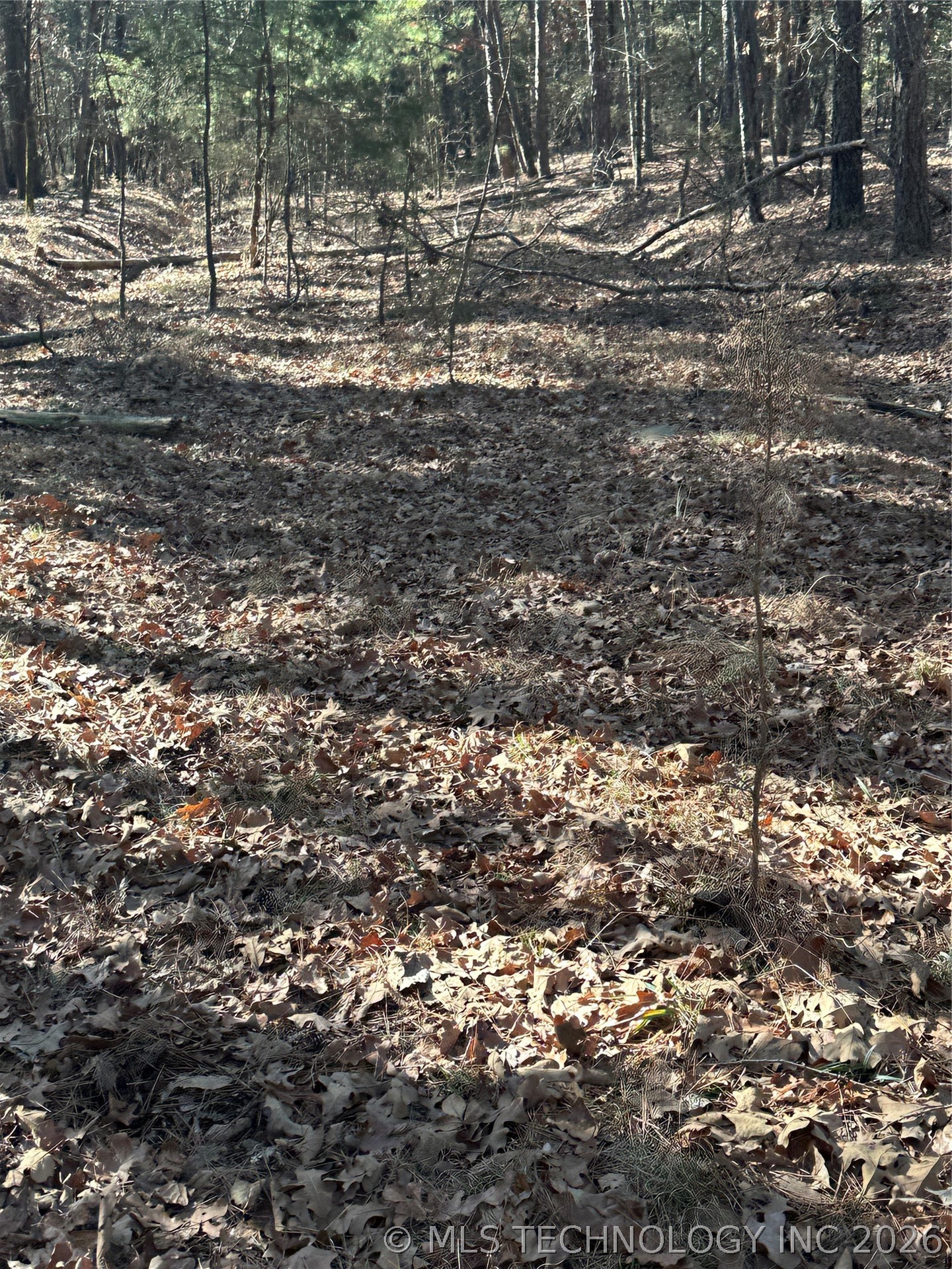 001 Johns Valley Road Moyers OK 74557