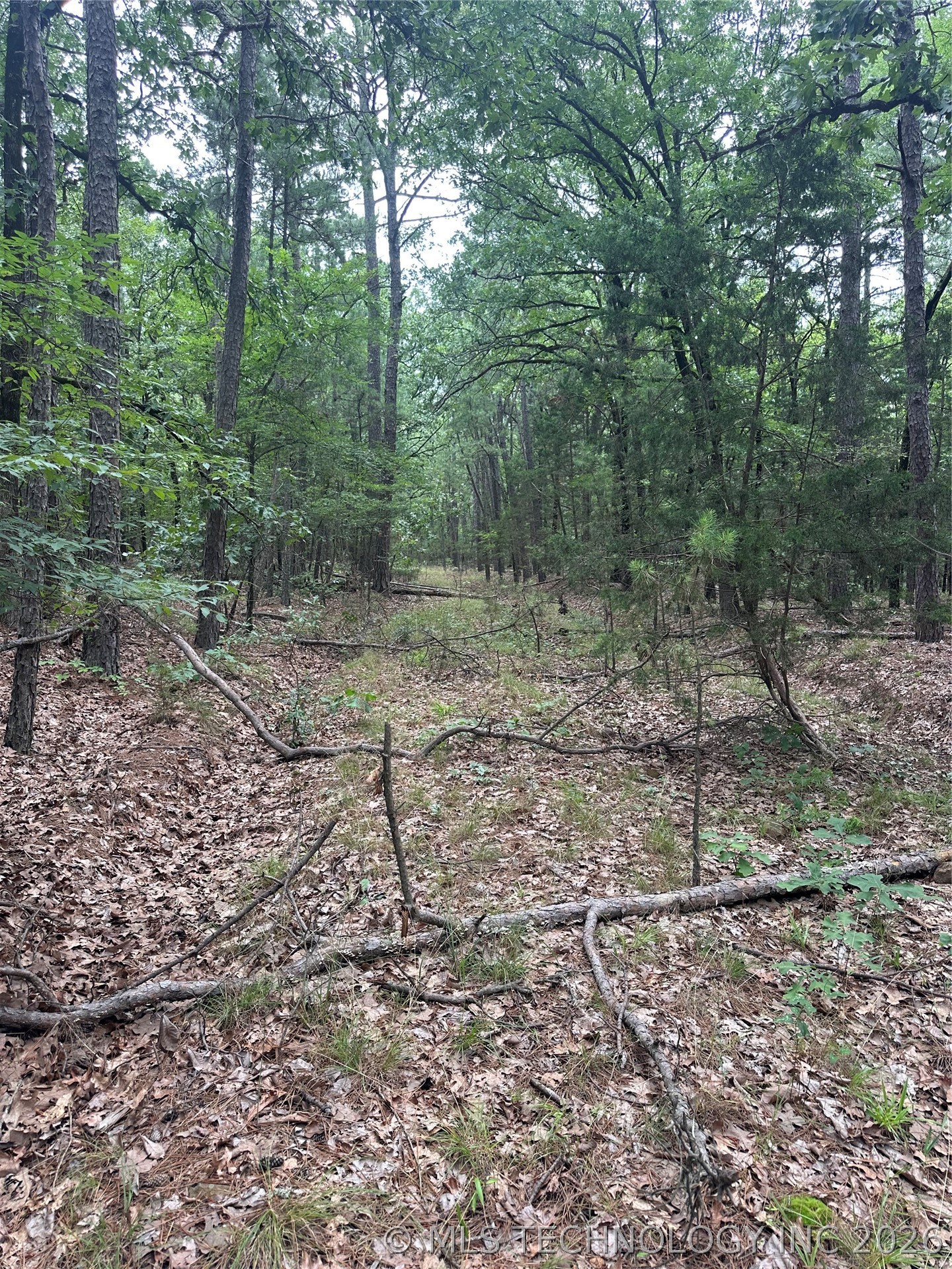 001 Johns Valley Road Moyers OK 74557
