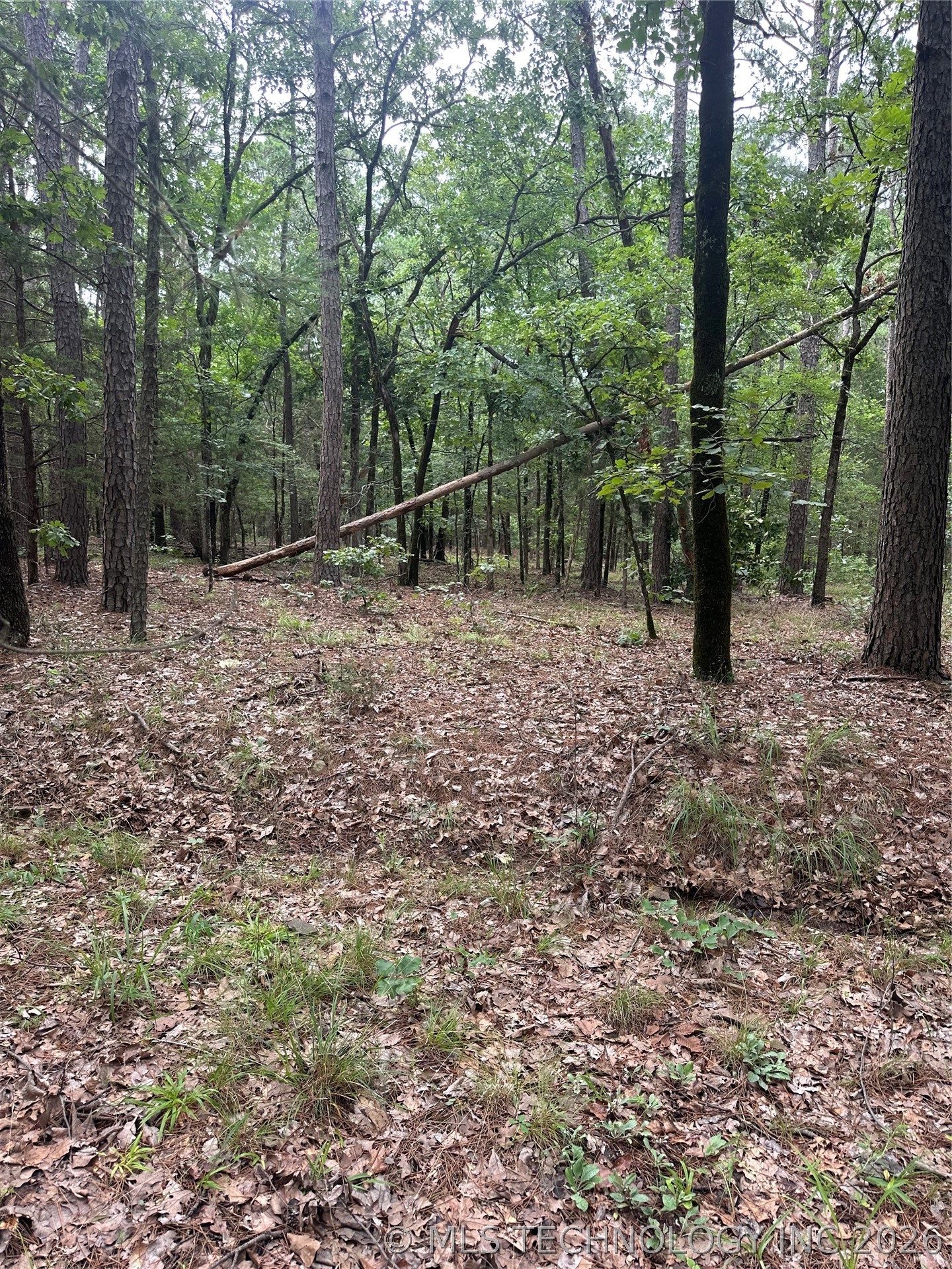001 Johns Valley Road Moyers OK 74557