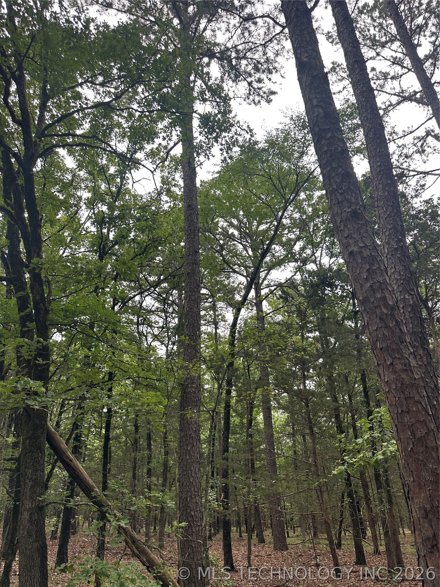 001 Johns Valley Road Moyers OK 74557