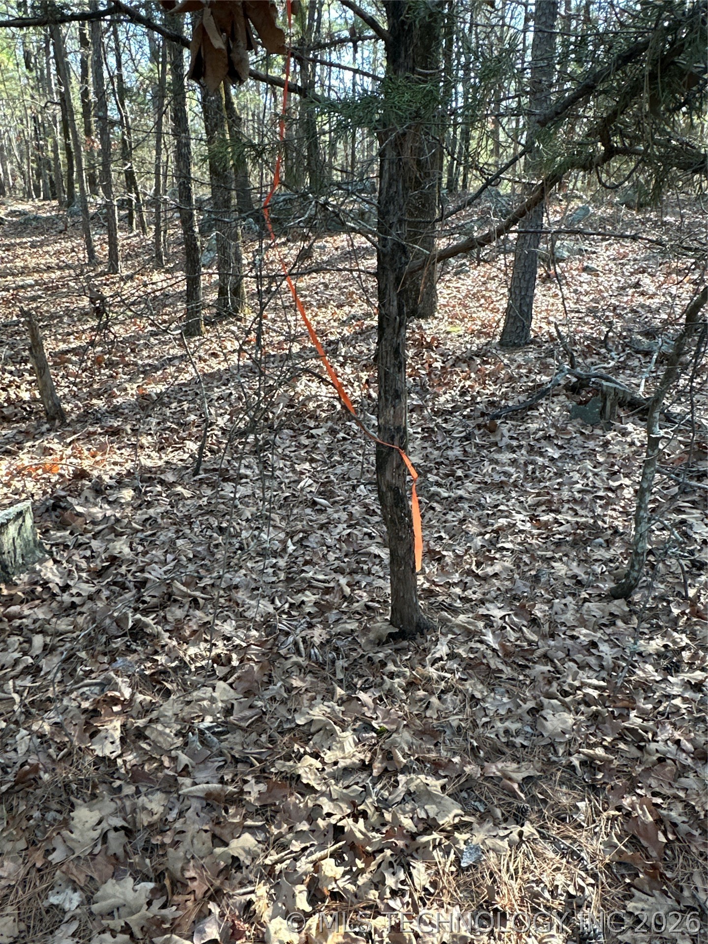 001 Johns Valley Road Moyers OK 74557