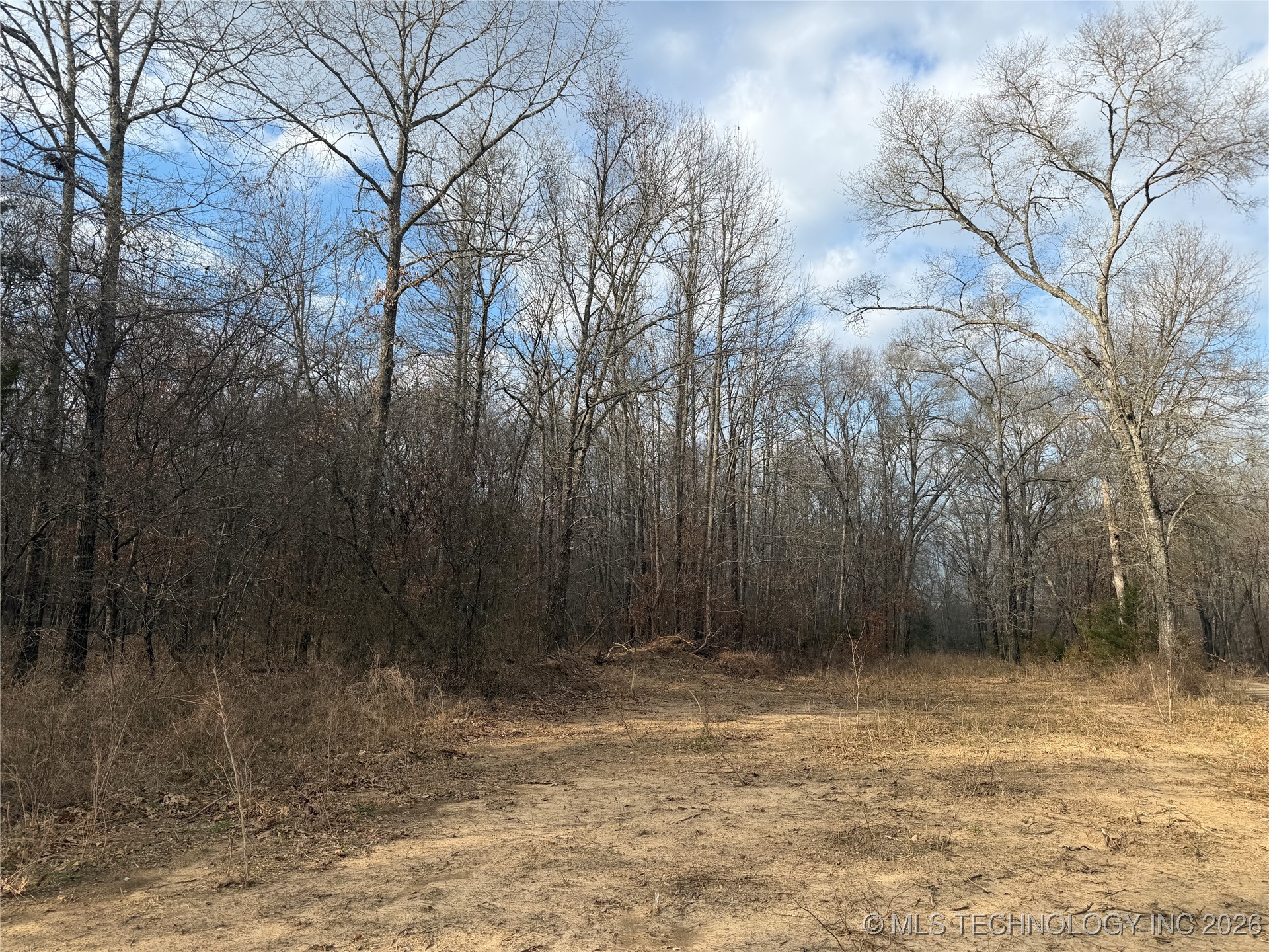 1 Pine Spur Clayton OK 74536