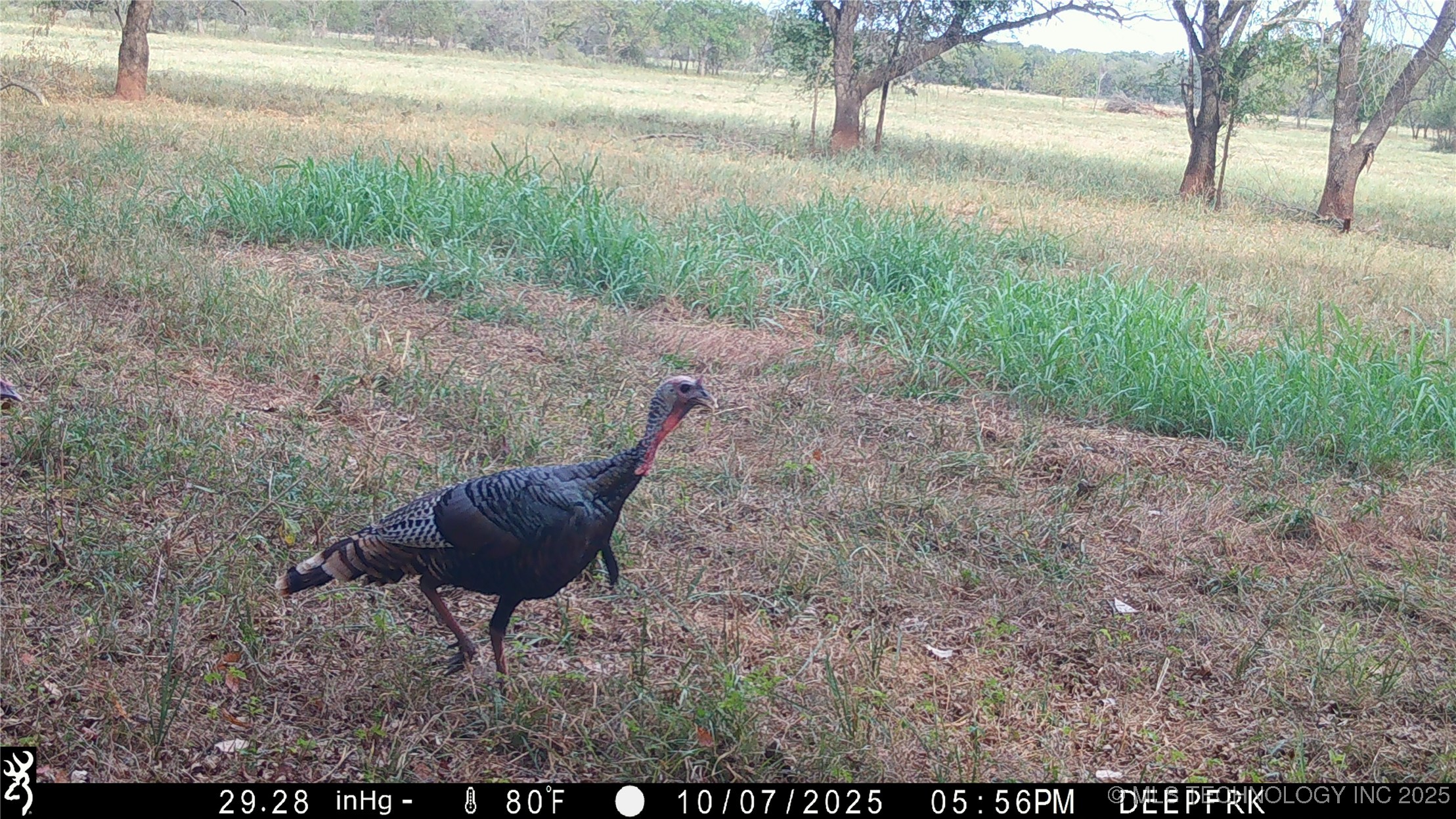 0 E 930 Road Chandler OK 74834