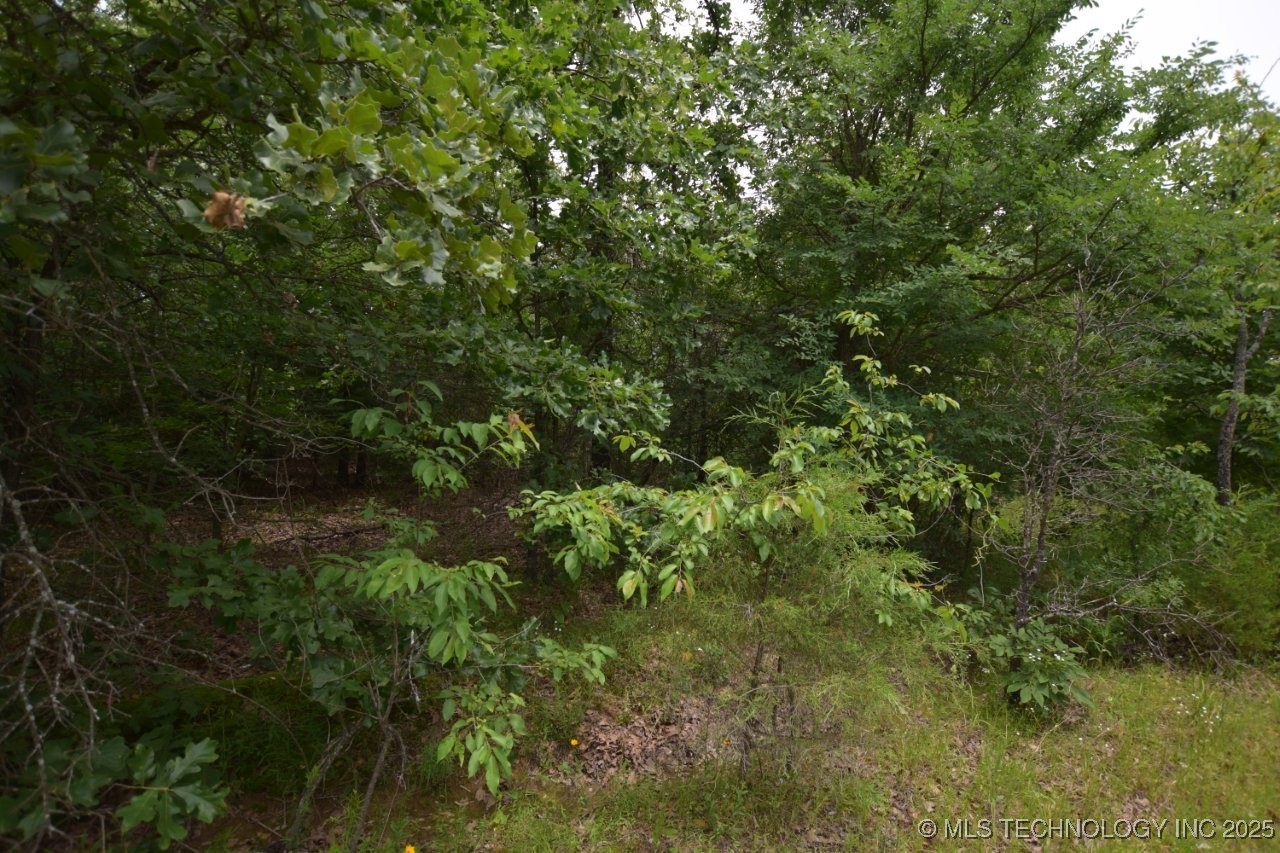 8 Darcy Lane Vian OK 74962