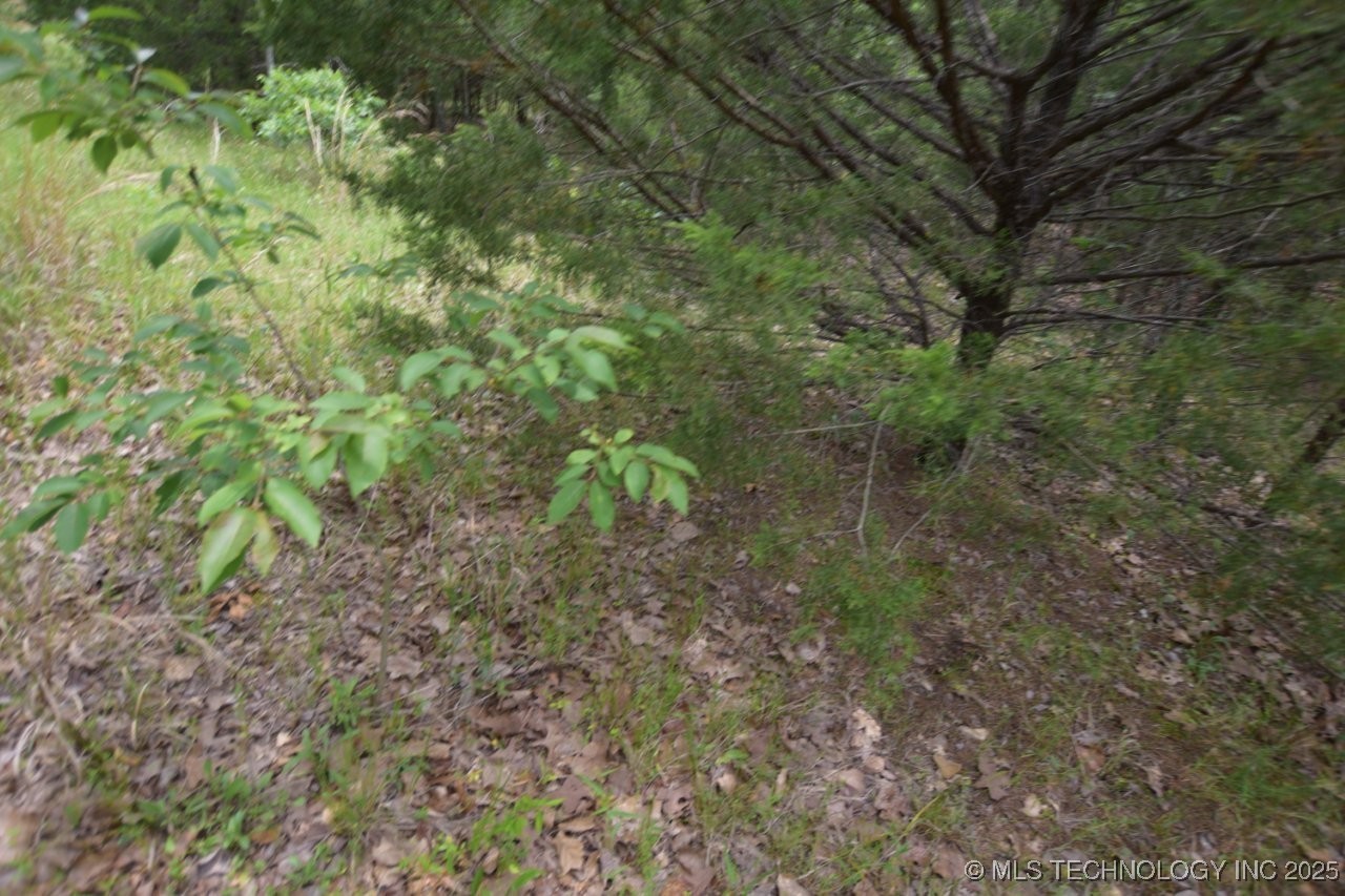 8 Darcy Lane Vian OK 74962
