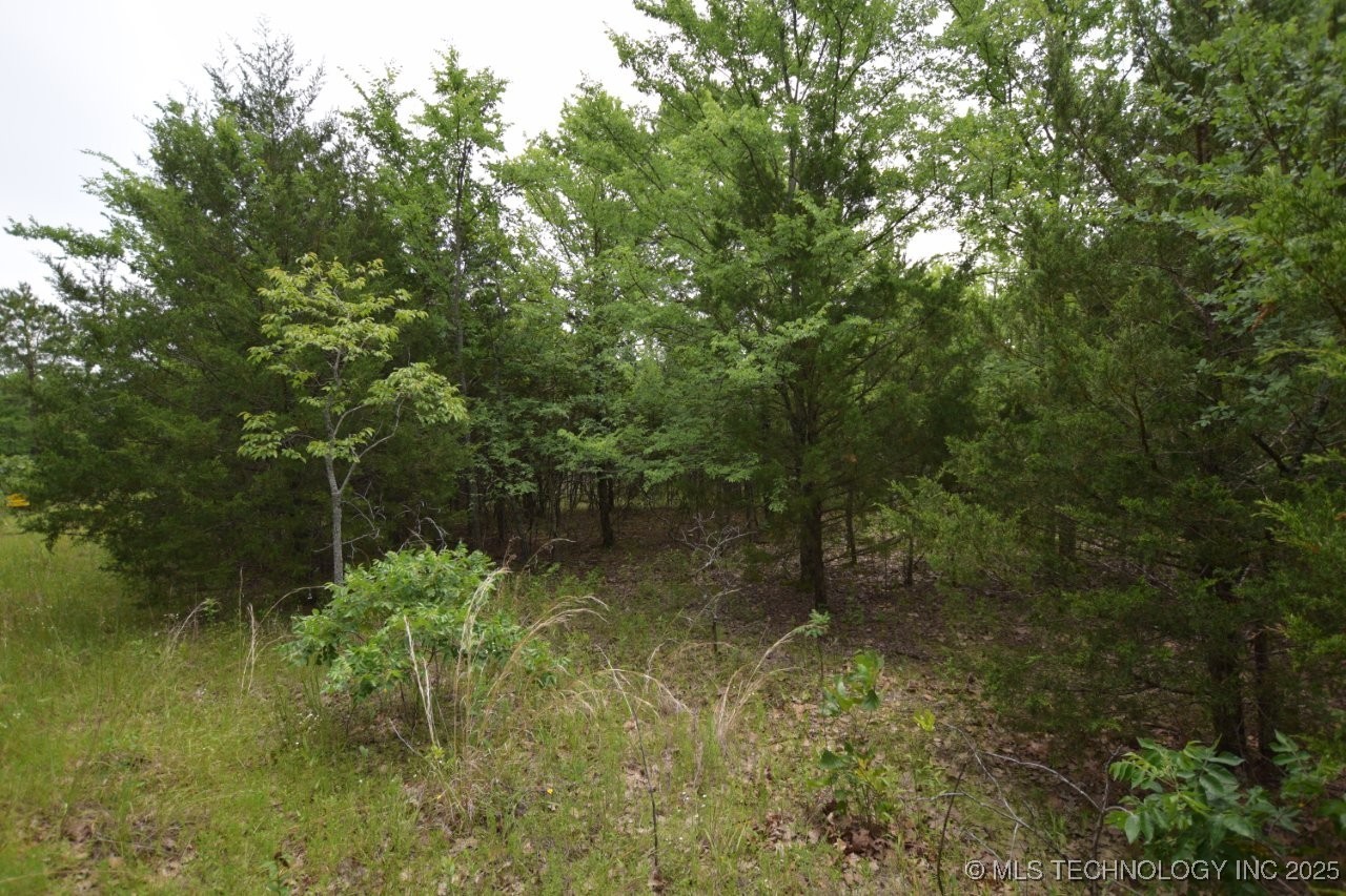 8 Darcy Lane Vian OK 74962