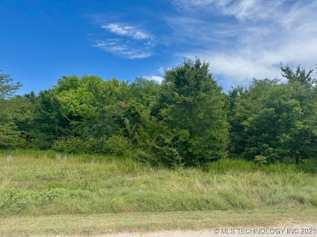 6739 Bobbie Little Kingston OK 73439